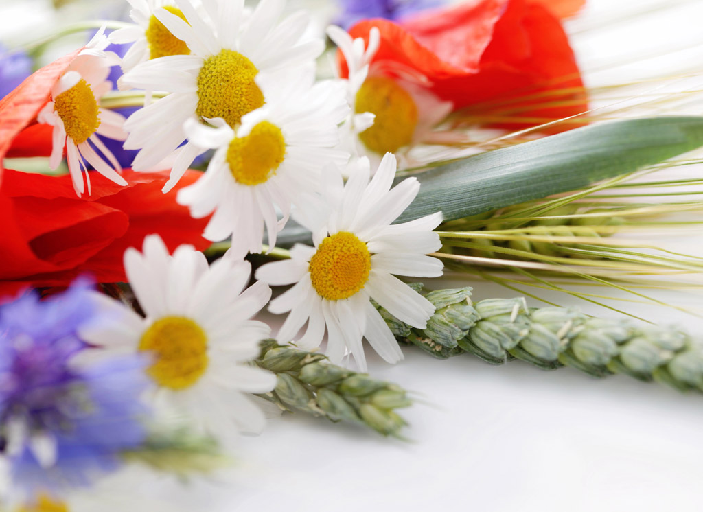 Bouquets